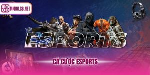 cá cược Esports