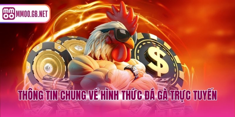 Thông tin chung về hình thức đá gà trực tuyến