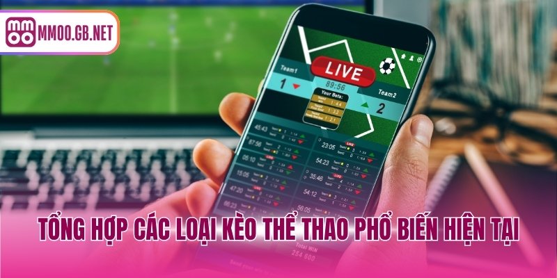 Tổng hợp các loại kèo thể thao phổ biến hiện tại