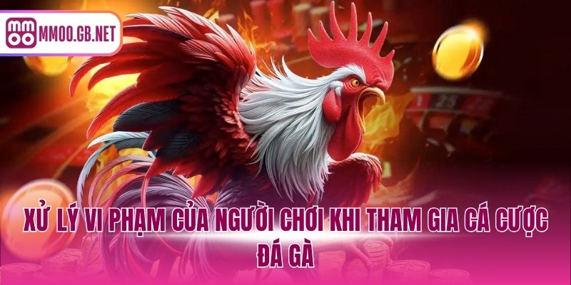Xử lý vi phạm của người chơi khi tham gia cá cược đá gà